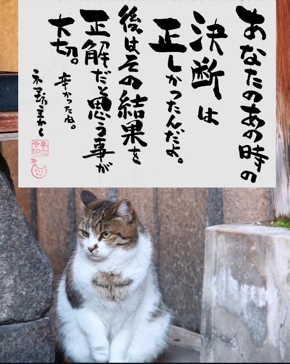 ネコさんから人間さんへ今日の一言