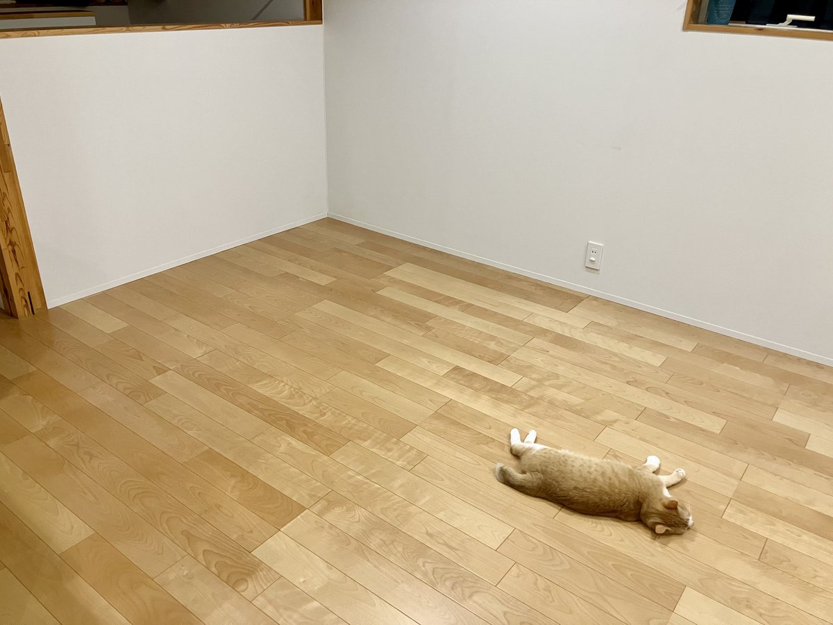 mico_dig's tweet image. 私のPCデスク隣のスペース。少し置いていた物を片付けてすっからかん。
こちらに夫も趣味エリアを作りたいようです。
coming soon…