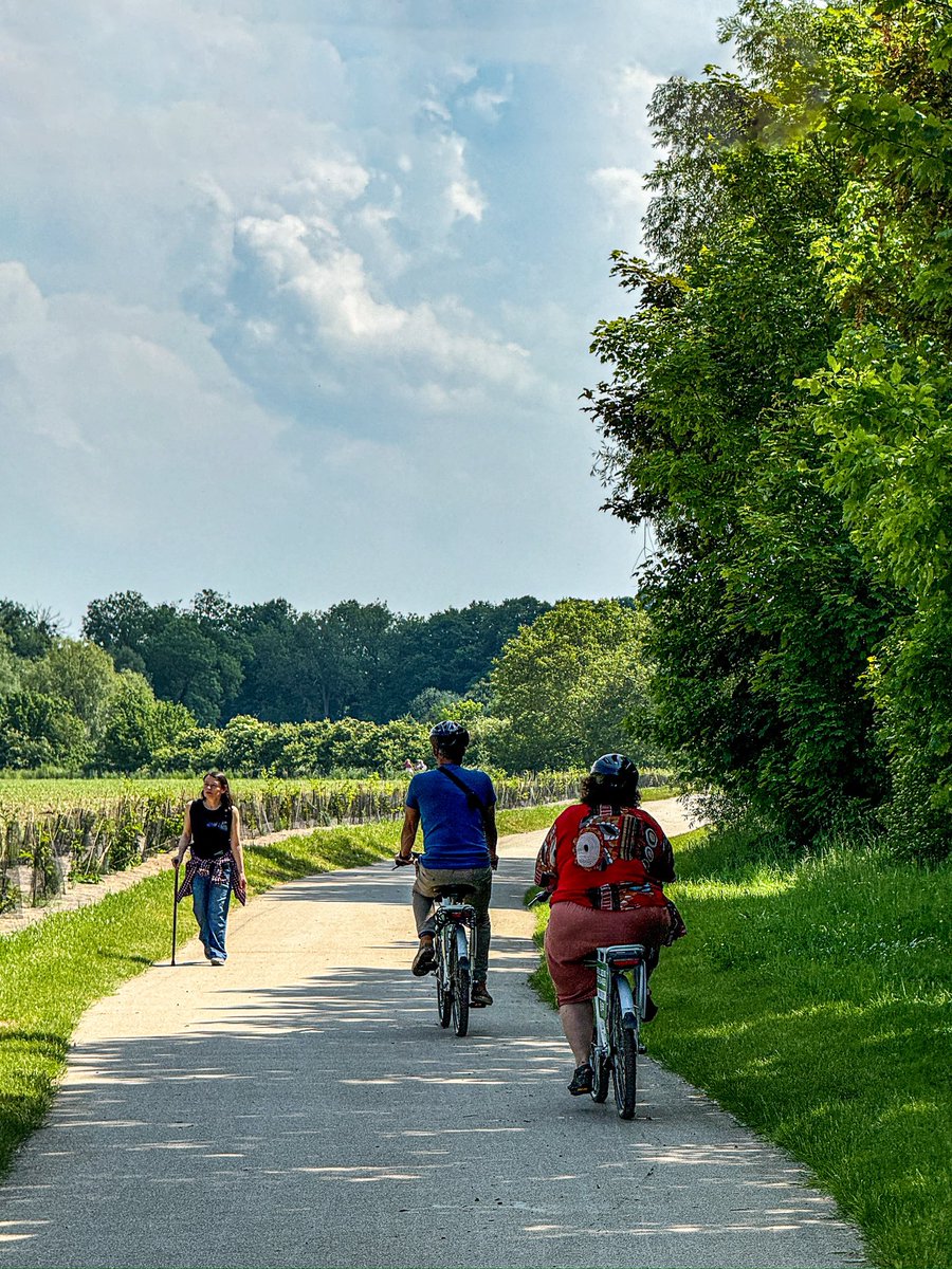 🌸 Vernon décroche sa 4ᵉ Fleur !
La plus haute distinction du label « Villes et Villages Fleuris » 🏆

Un immense bravo aux agents, associations, partenaires et habitants pour ce succès collectif 👏