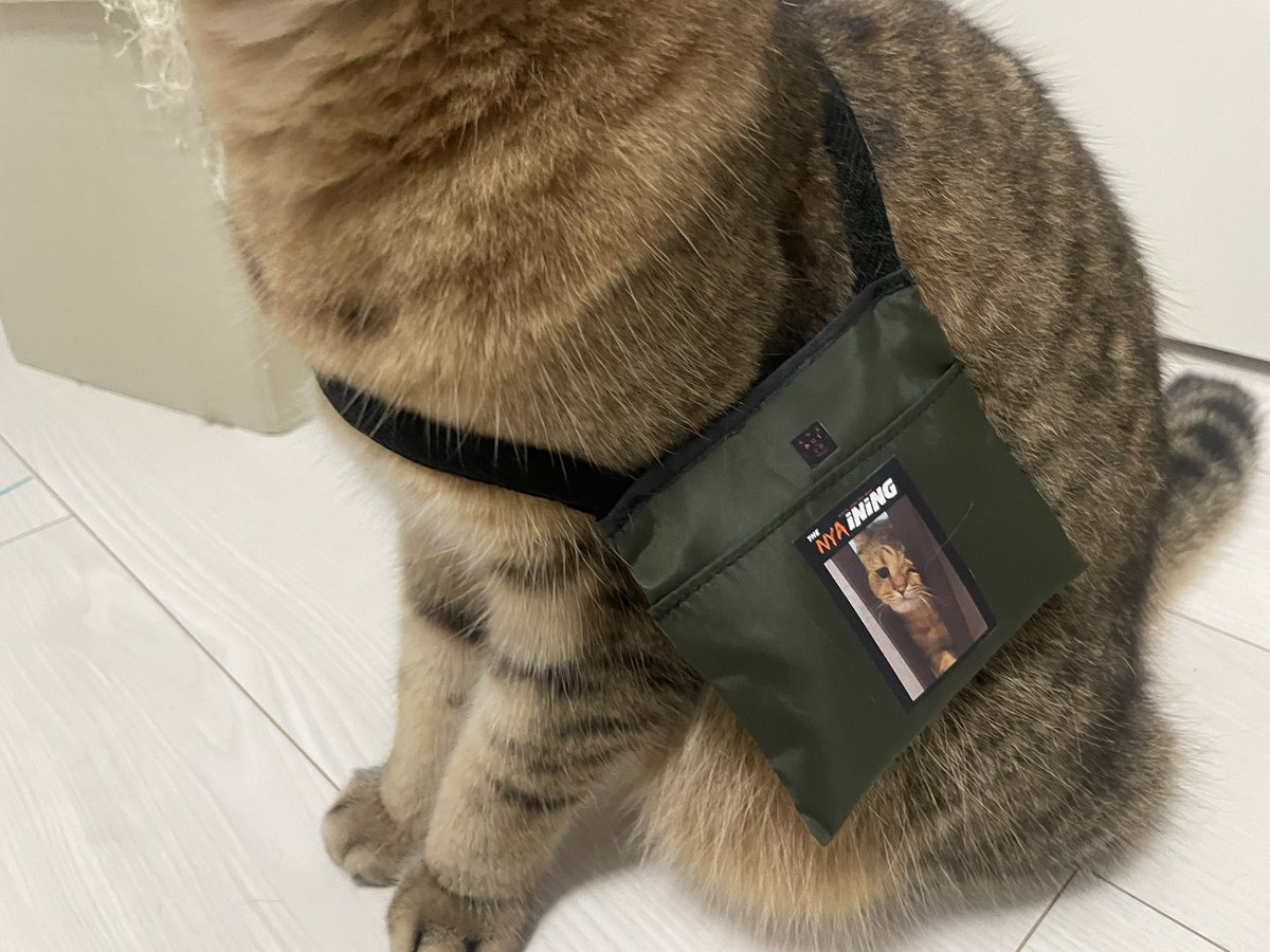 MiniraDiary's tweet image. ミニサイズのバッグ似合うって褒めたらものすごい得意気に見せに来る
