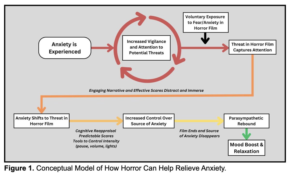 KeithSakata's tweet photo. Horror may improve mental wellbeing

By activating the amygdala (fear), engaging the hippocampus (context), and training the prefrontal cortex to regulate it, scary movies give us safe practice at controlling anxiety. 

Fear becomes therapy https://t.co/fXIL2LxY5J