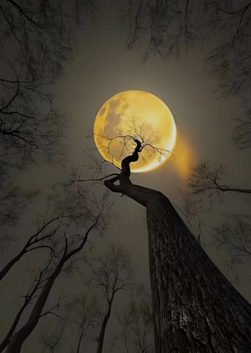 الناس الطيبين لا يختفوا من القـلــ❤️ــب  
لا يَستطيع الزمان ولا المكان
أن يغير موقعهم في النفس 
حتى وإن غابوا عـــنا 
تجدهم حـاضرين فـينا !!
معهم تعلمنا أن المودة
ليست مجرد لقاء
ولكنها عهد متواصل بالوفاء 
قد ننشغل ولا نسأل
وقد نرحل ولا نعود
لكن قلوبنا " بالمحبة " متصلة
❤️💫