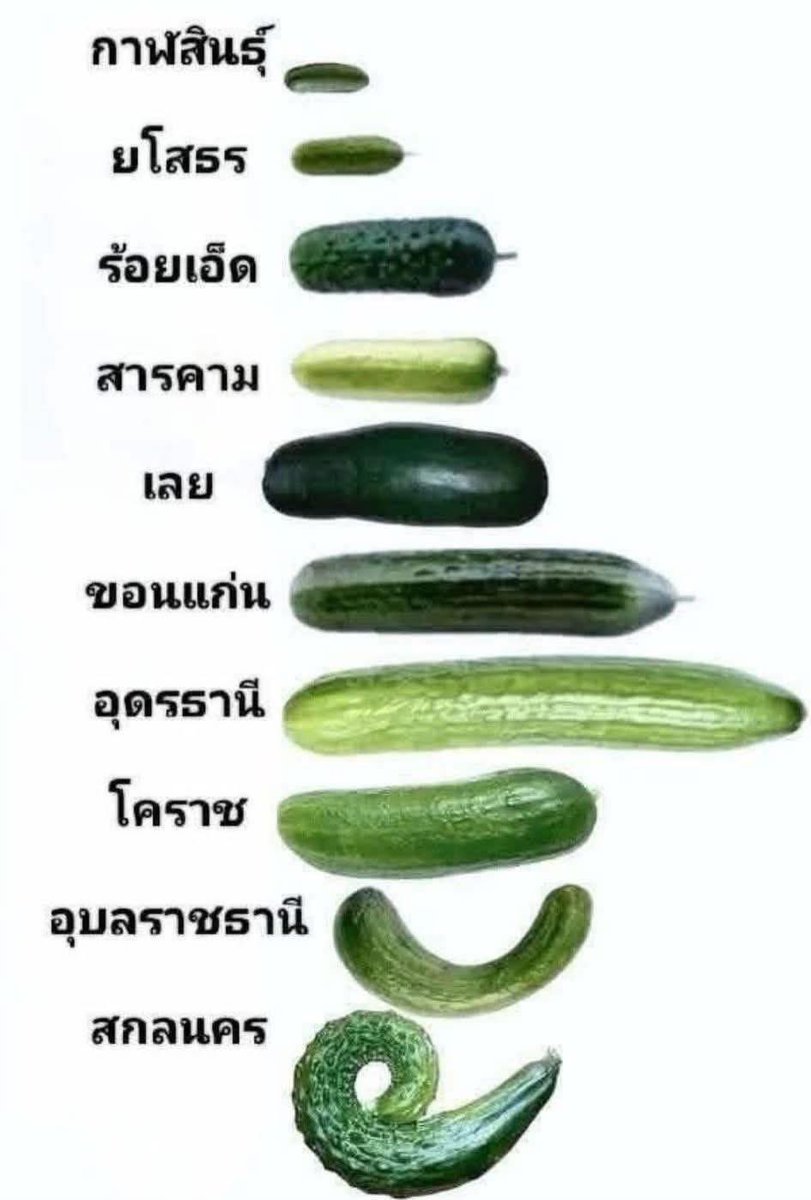 Thaireactionvid's tweet photo. วอนคนอีสานยืนยันด้วยนะคะ https://t.co/z4ytacEmnq