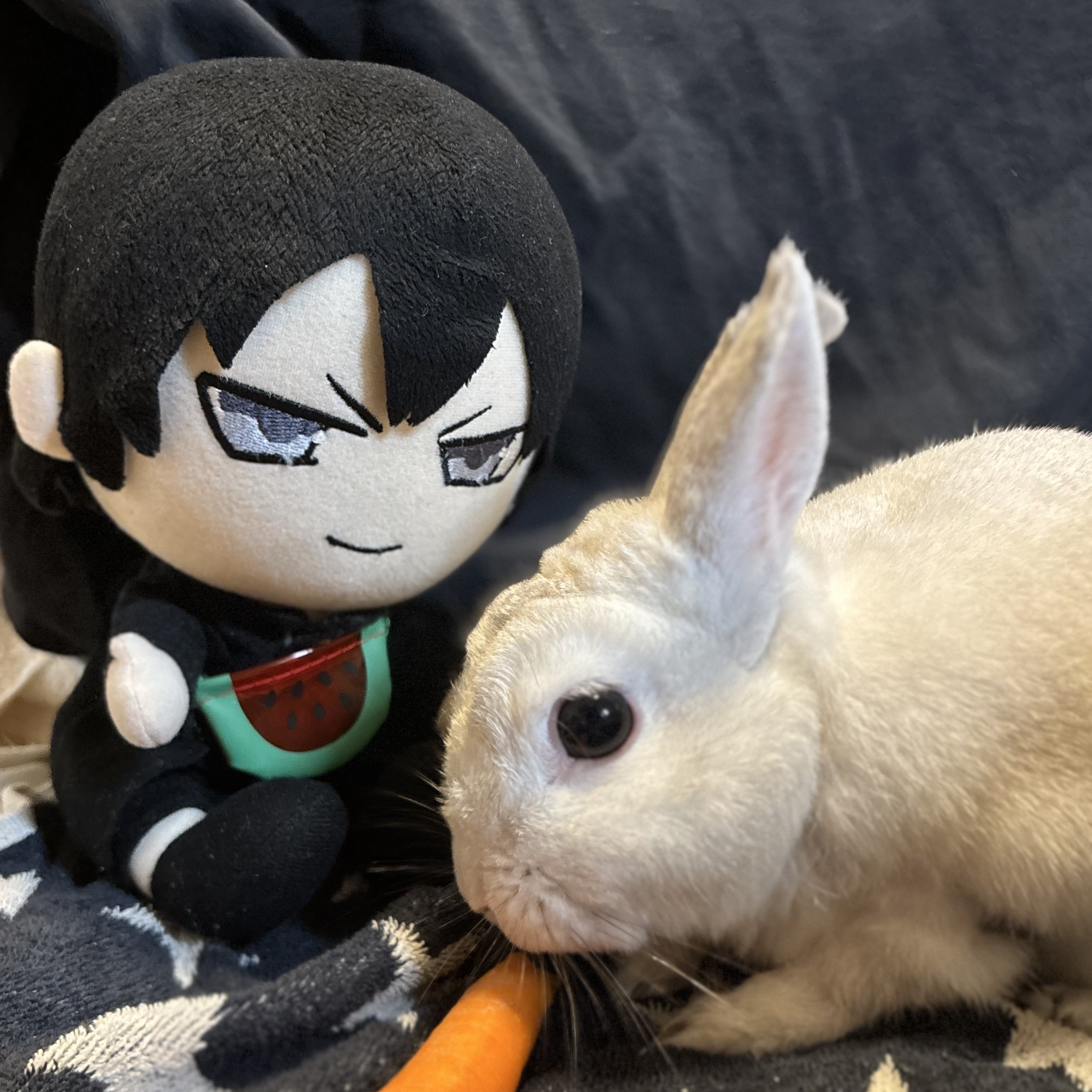ぬい瀬 on X: 