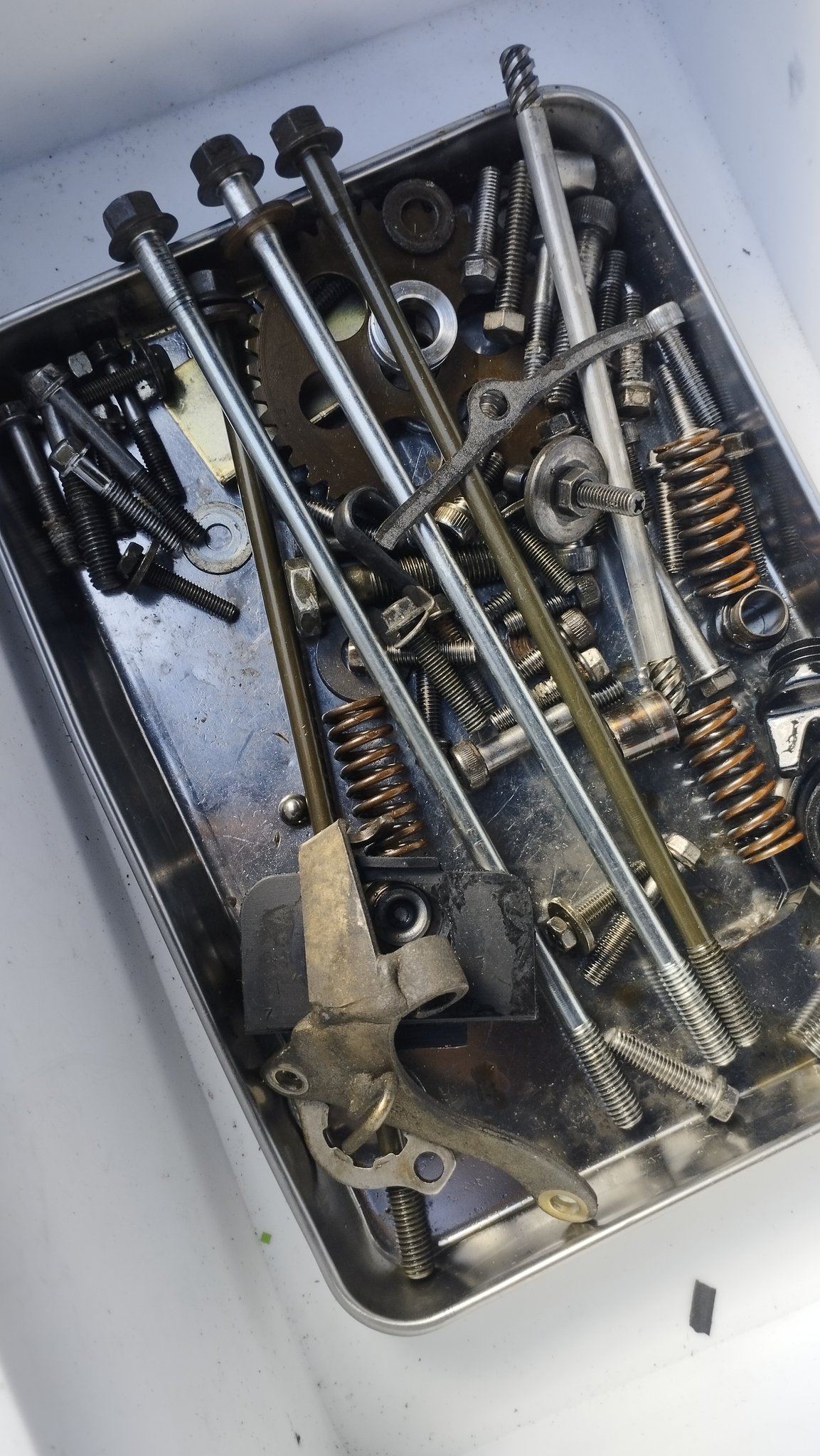 ms様　ns1 おまけ NS1に乗ってるあっきー (@zS7rKOin7AlgoIh) / X