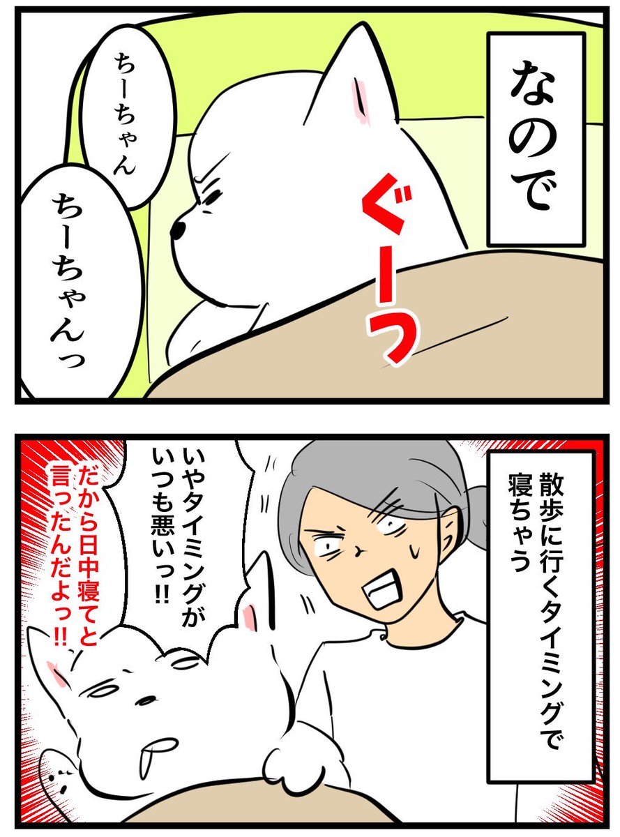 ちーちゃんです。 ちーちゃんですけどもっ第2巻発売中です❗️ (@ymc_cheezu) / X