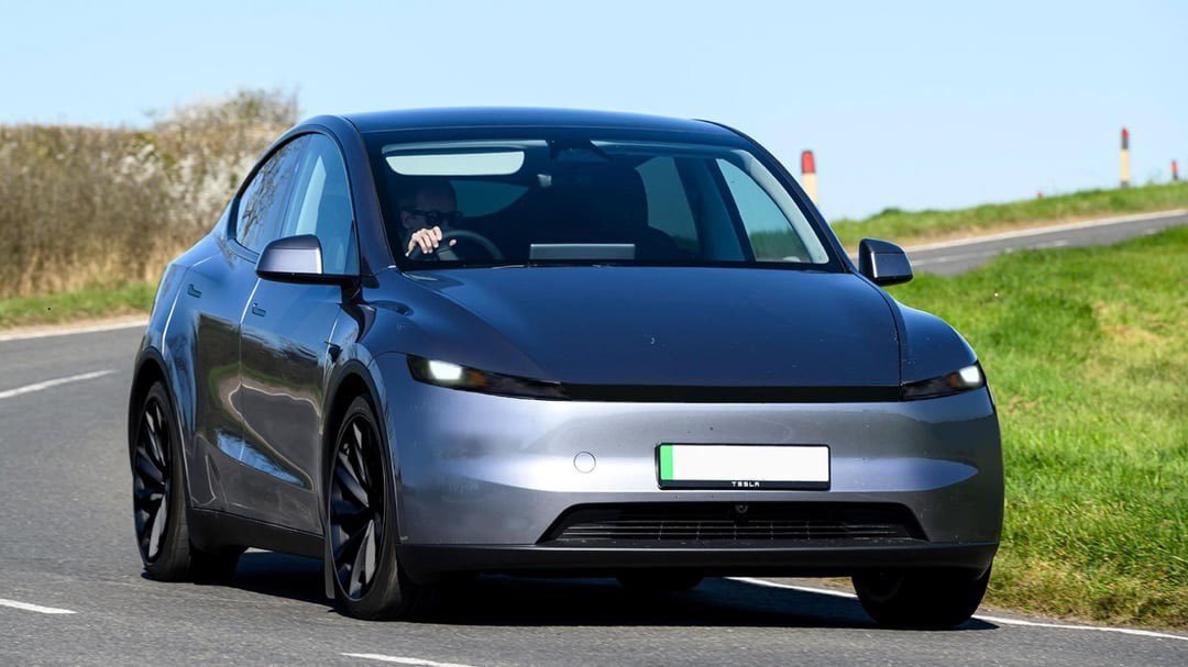 TeslaZoa tweet media