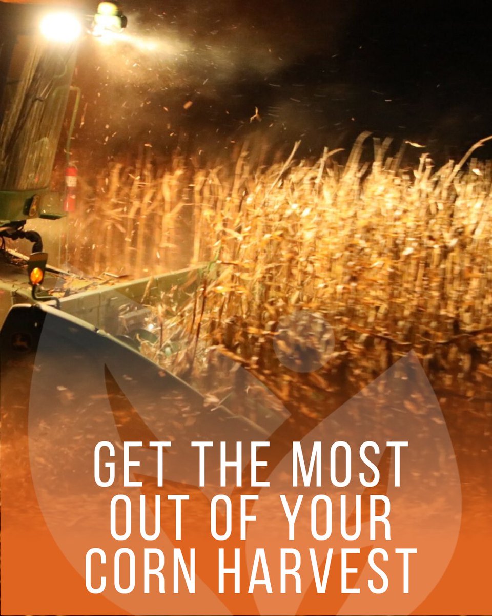 Do you know the science behind timing your corn harvest? 🌽 Get the agronomic facts that can make a difference to your bottom line. 
bit.ly/42qUsEK
