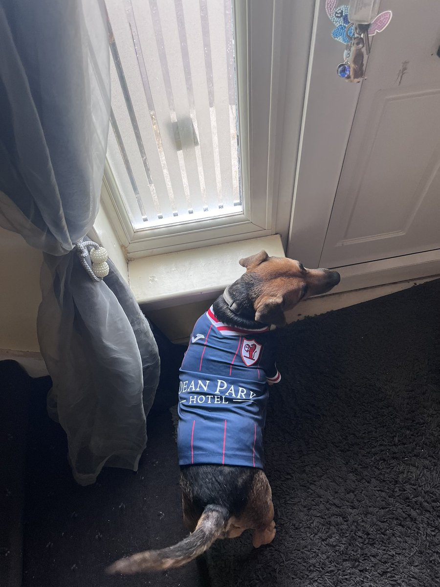 Harry Woods tweet media