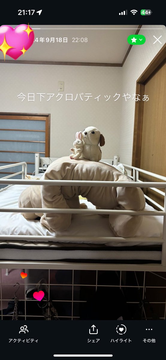 necxtoyuna's tweet photo. うちのママンは毎日人形を並べてた＾＾
帰って部屋のドア開けたらいつもこれ

「今日はアクロバティックでしょ🎶」とかポイント付き https://t.co/QwNJzqieTn