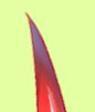 Aaaaa nur noch 7 Tage bis zum Debut langsam werde ich nervös 
Und was ist das?!? 
Etwa ein Horn