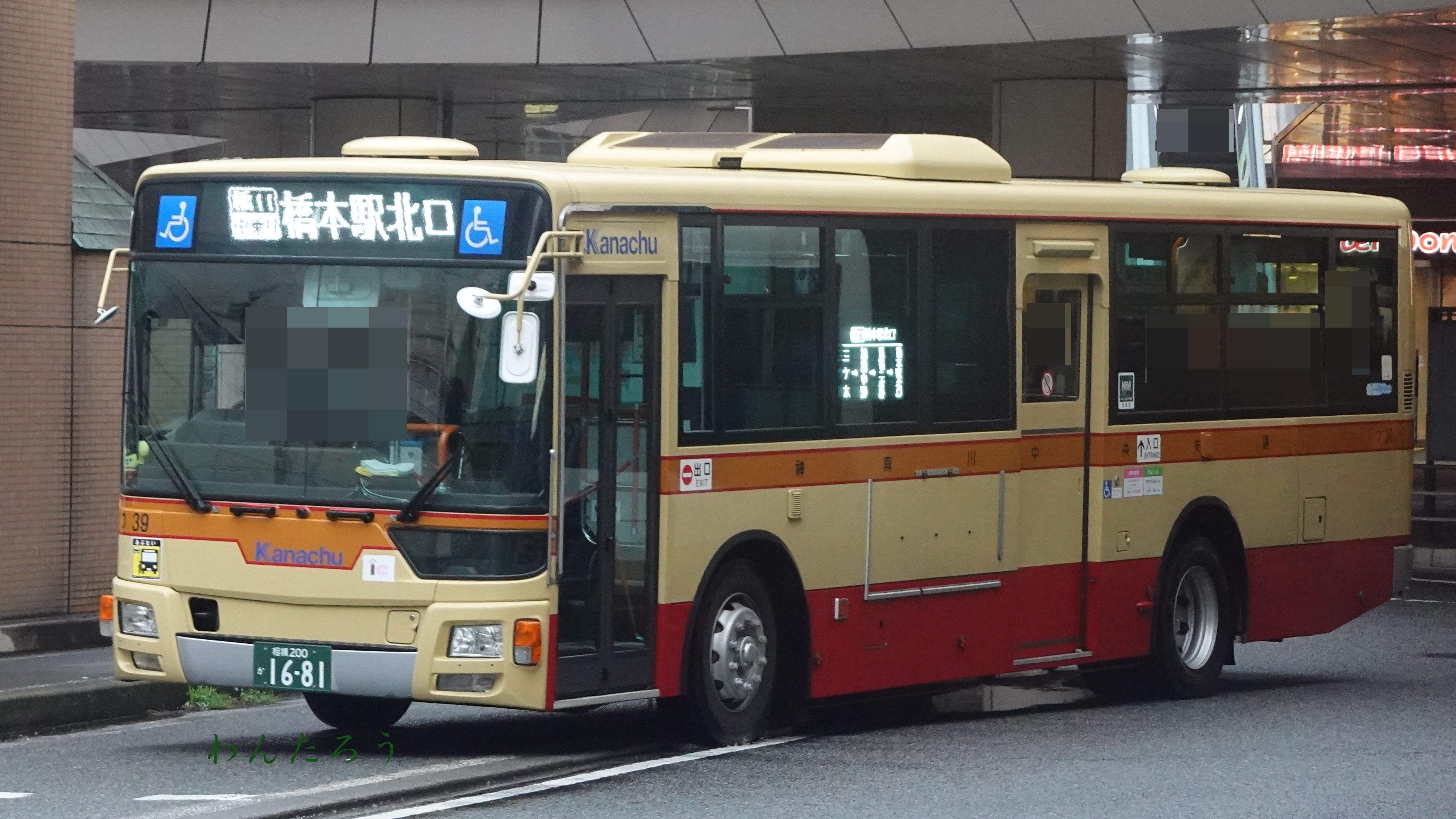 こんちちワンさん フジ矢 偏芯パワーペンチ（KUROKIN）200mm 3000N-200BG|金津屋商店