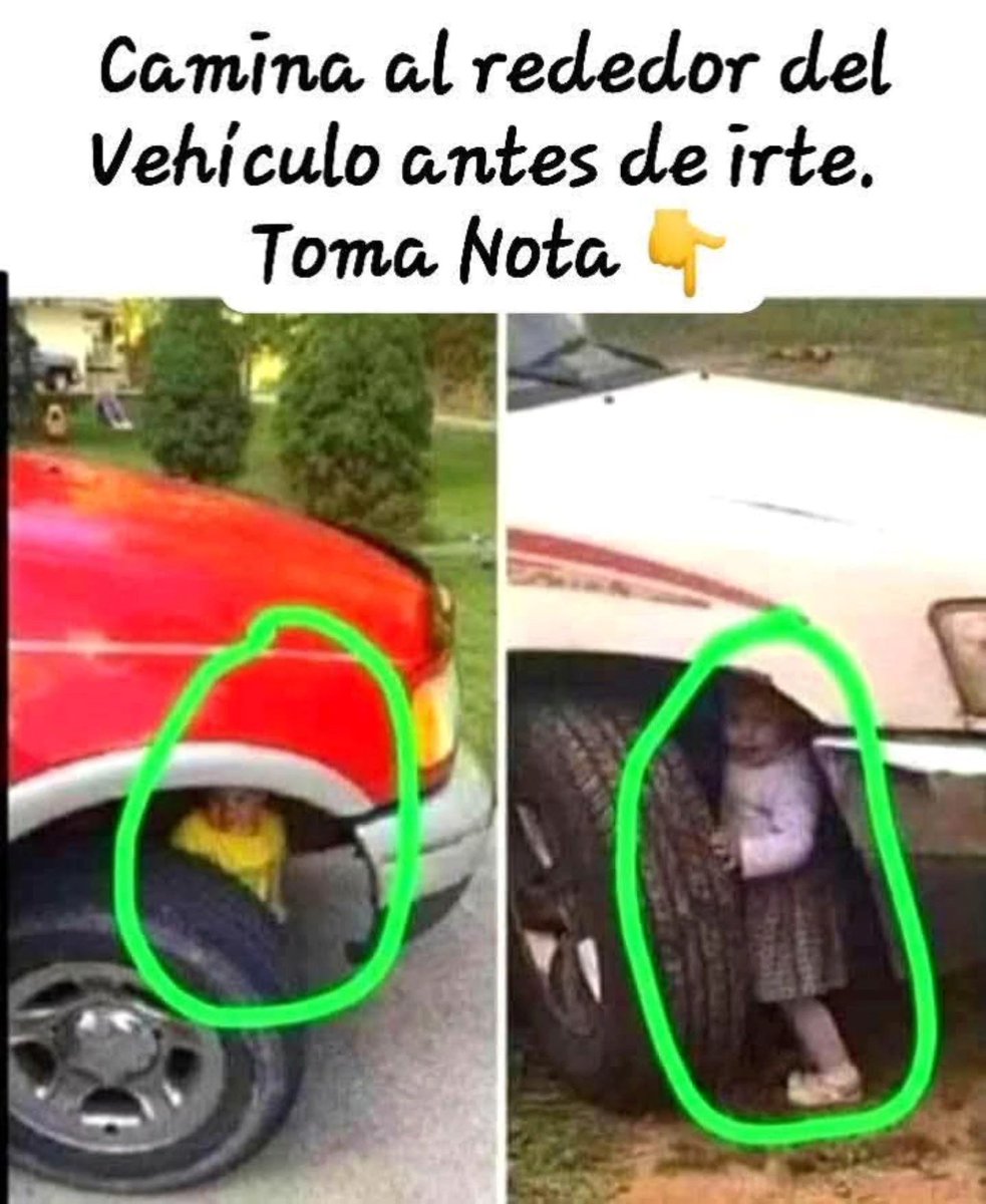 Rincón Curioso tweet media