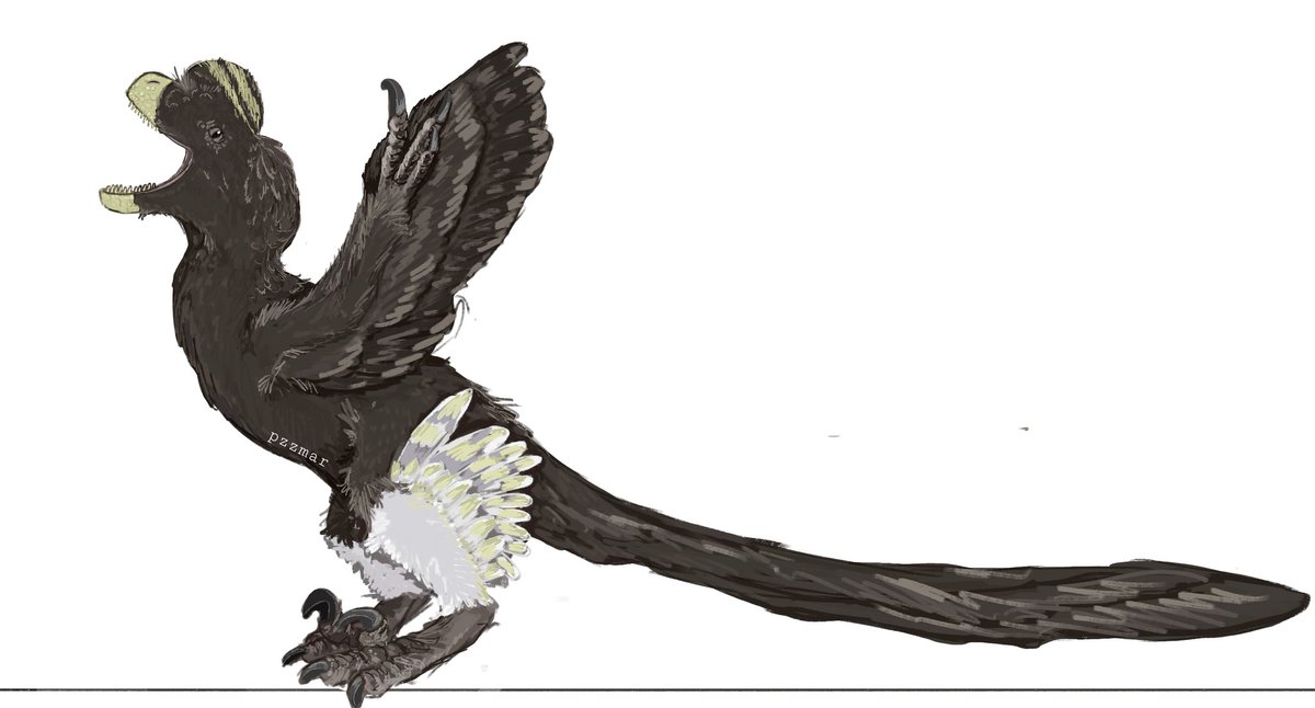 pzzmar (@pzzmar) on Twitter photo 