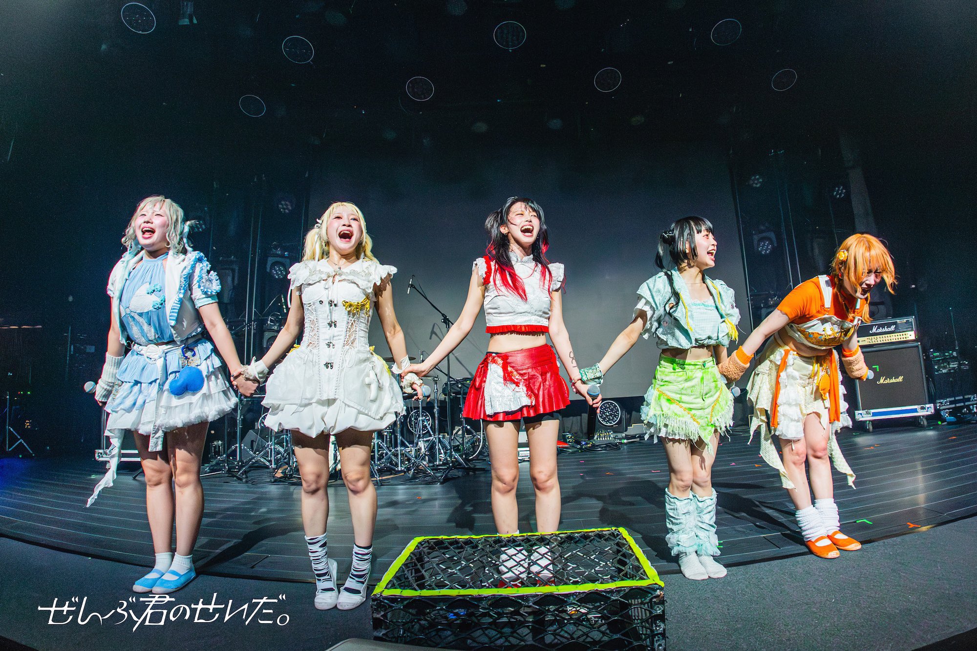 たま　虚言倶楽部　 正直　ファイル付き全巻セット　ライブ記念 写真集 写真集『10th Anniv. ROOM 13』(通常版) | ATERIER 十三月