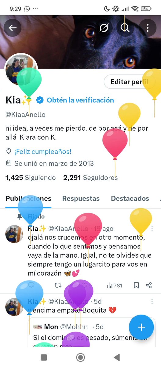 Kia✨ tweet media