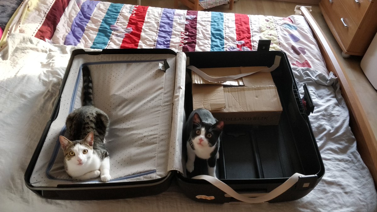 WHAT IT LOOKS LIKE WHEN I START PACKING FOR CHINA

I previously wrote about how I always drag 6 kg of Dutch Stroopwafels (a traditional cookie) to China (see lnkd.in/e-dkm46A). So, as I was preparing for my next 1.5 months in the country, this is how the packing started