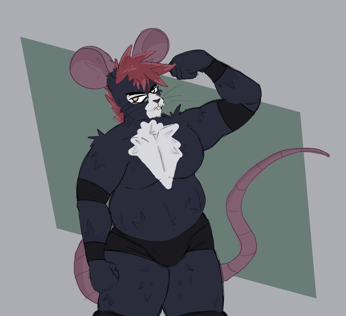 Kippy! 🐾 tweet media