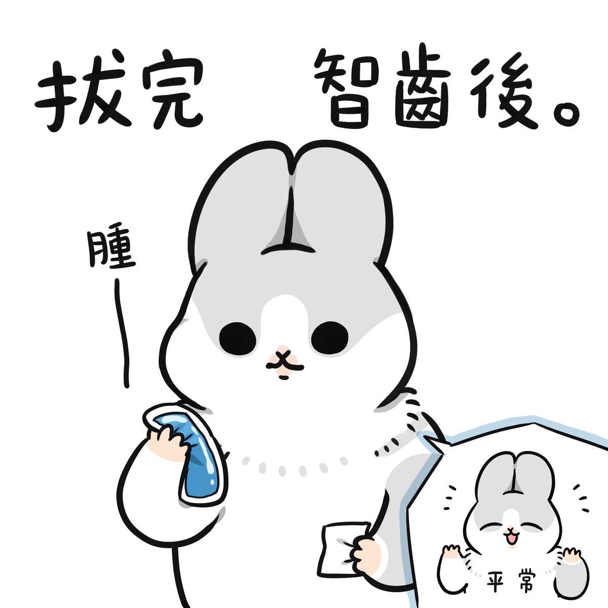 拔完智齒後
我的臉頰腫得像偷藏食物的倉鼠