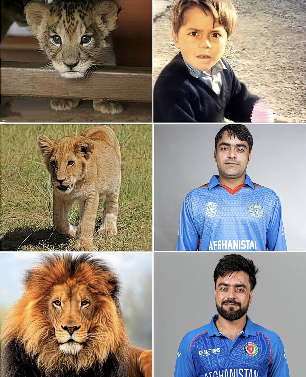 trollkataj's tweet photo. Happy 27th Birthday Rashid Khan 🎂🇦🇫
Still younger than Pakistan’s “U19 players” 🤭😂

#RashidKhan #AsiaCup2025 #Afghanistan #IndvsOmn #IndvsOmn 
#PakistanCricket https://t.co/f9mPiB40uv