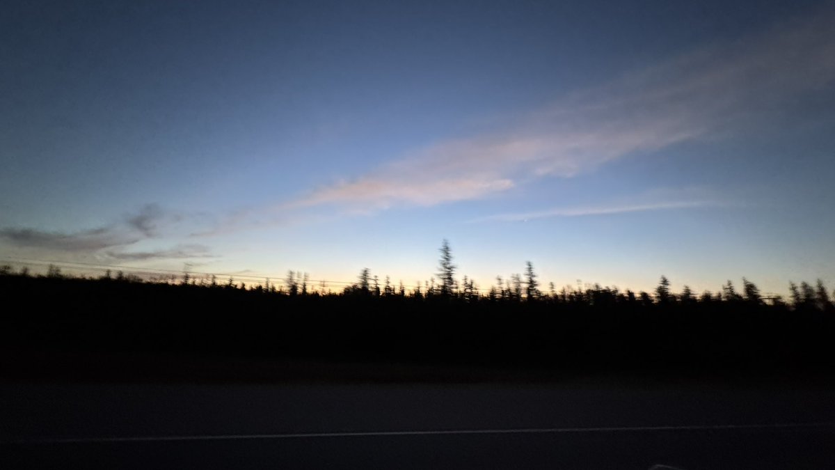 xenomnk's tweet image. this is my favourite time of day