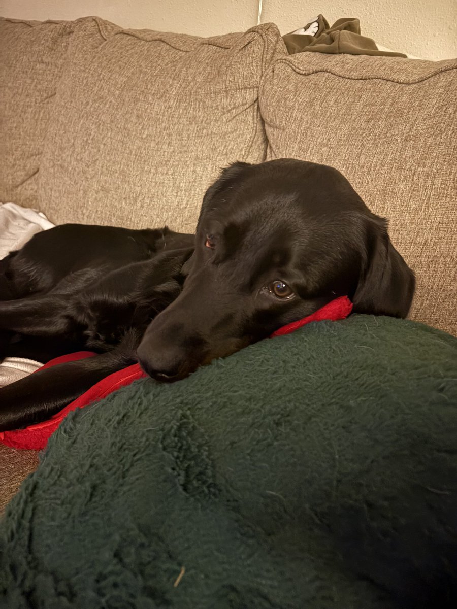 movingreader's tweet image. Waking me up at 1:30.