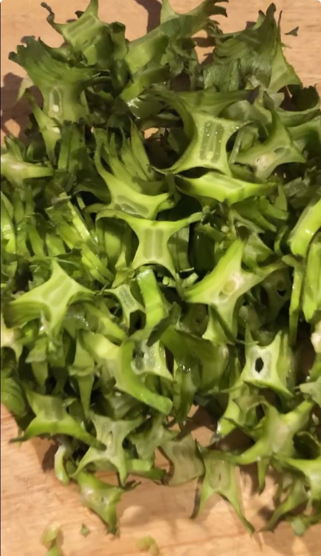guminolamp's tweet photo. 植えたしかくまめが今年も沢山実りました。冬になるまでしばらく食べられる。
子供の頃によく母が作ったシカクマメ炒めが美味かったな。

早速作ってみた。
やっぱり懐かしい味で、美味しかった

#生野らんぷ
#懐かしい味
＃シカクマメ炒め https://t.co/Om0RAvQtv2