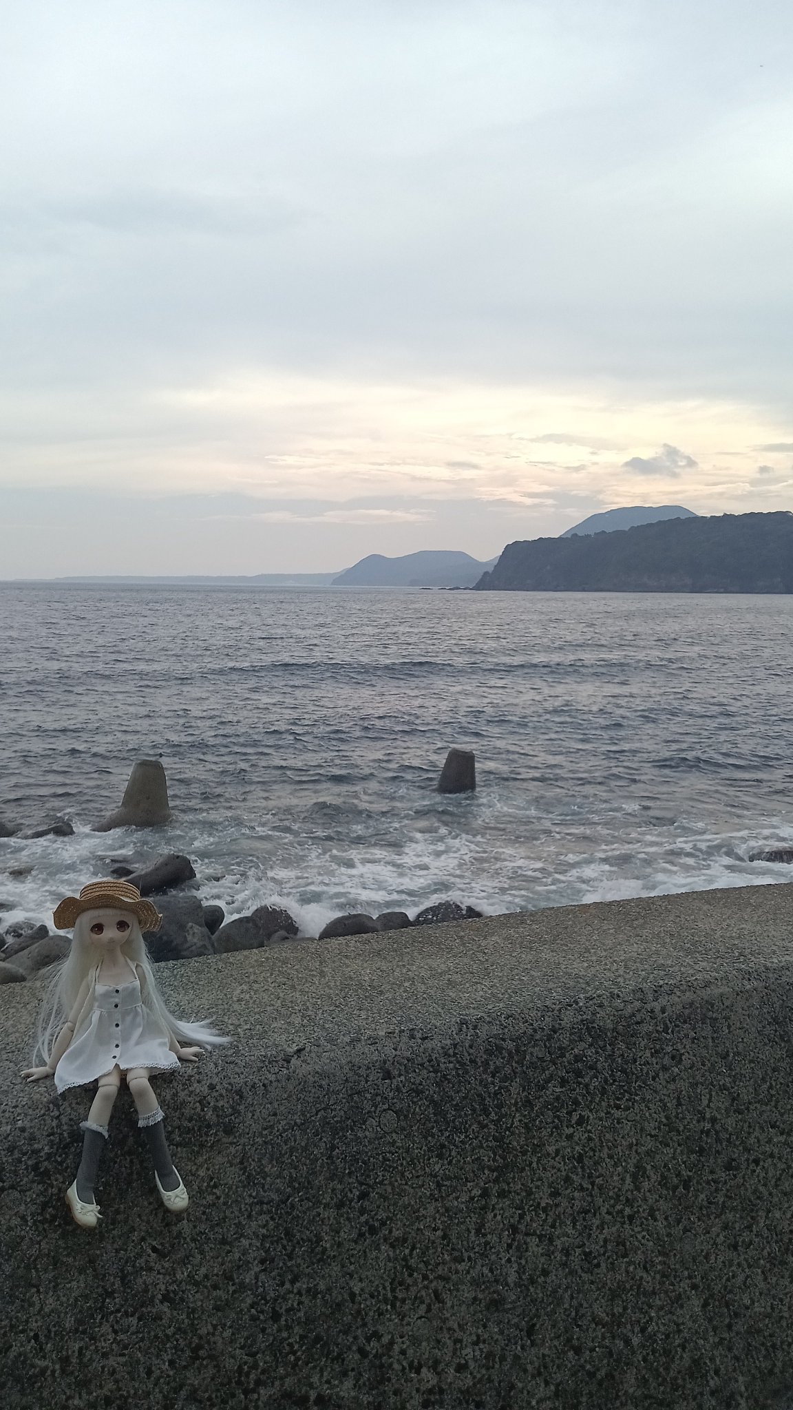 にこにこ‎^_^さま♥️専用 にこにこ^_^さま♥️専用 にゃーこさま