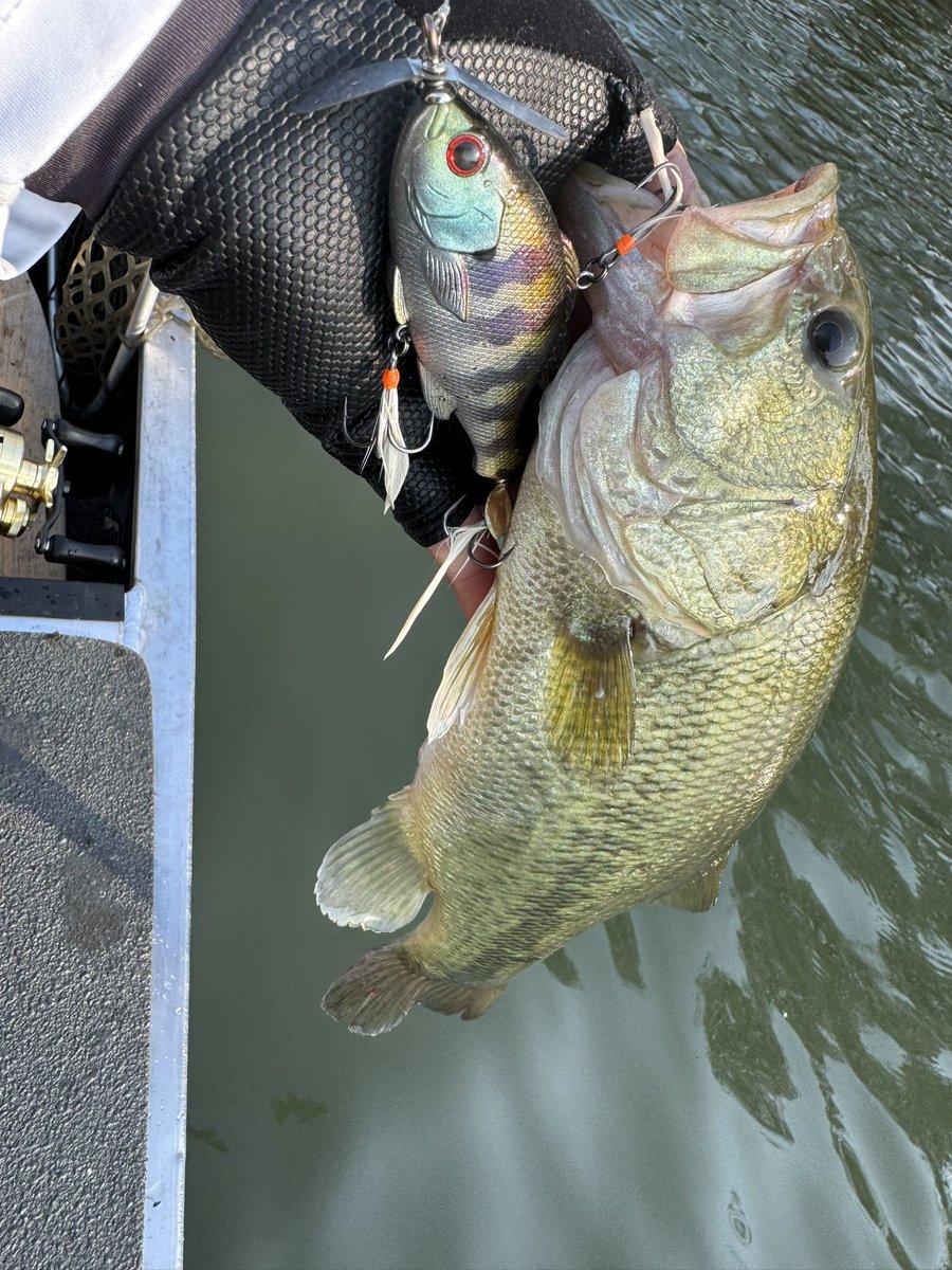 Ryo Sakurai【MPB LURES】【GRAVEL】 (@mpb_lures) / X
