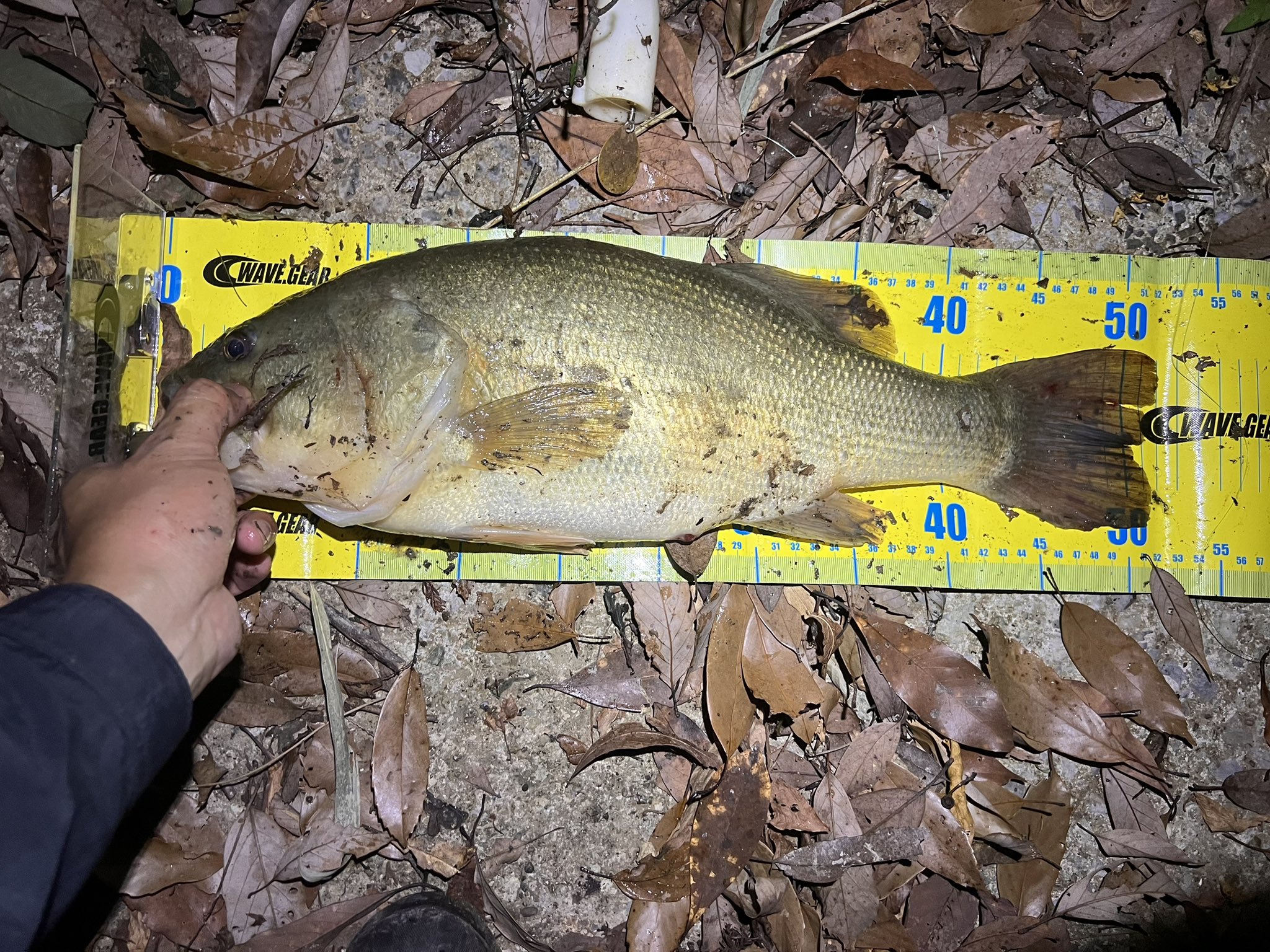 30th ONETEN X 箱根ワカサギ 30th ONETEN X 箱根ワカサギ 30th ONETEN X 箱根ワカサギ