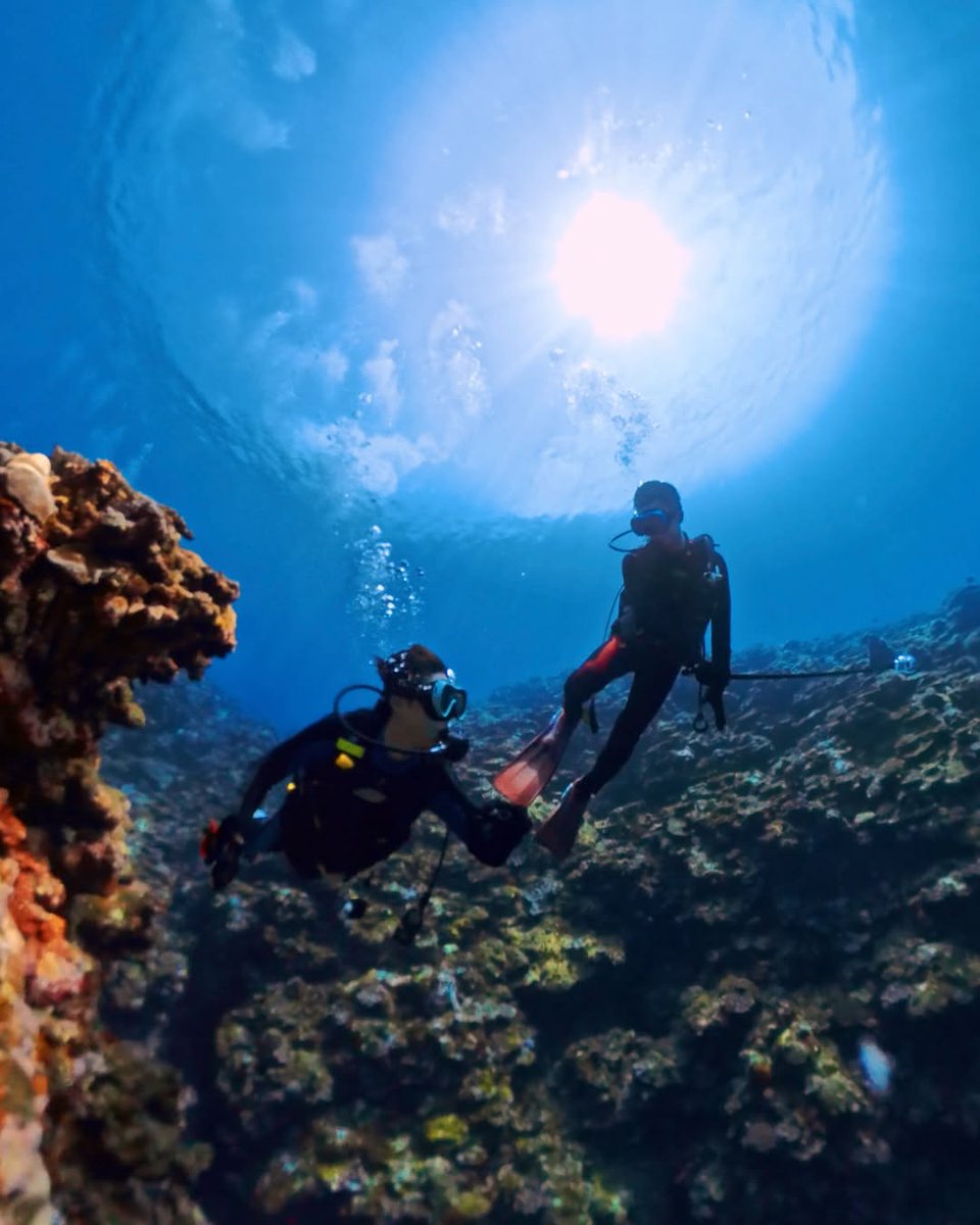EUANN621_KJ's tweet photo. 아베 료헤이 인스타그램 업데이트💚

🤿

#diving #石垣島 
#divingphoto 

呼吸して〜！

#あべぐらむ #ひーぐらむ https://t.co/PlNuuhGs0E