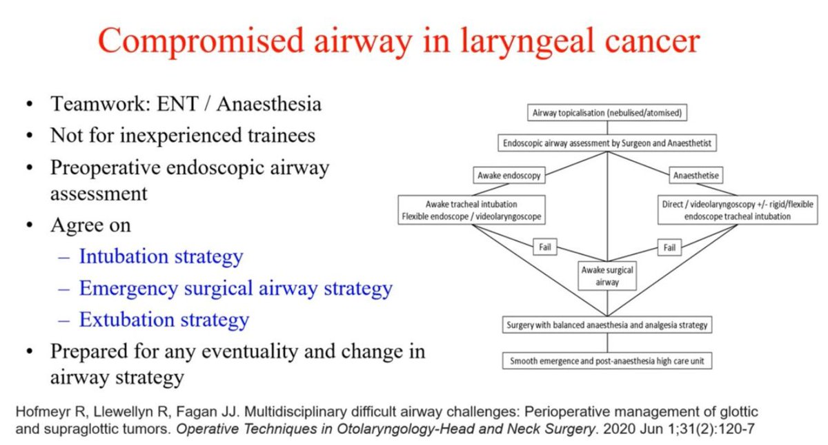 At the 16:15 minute mark, Dr. Fagan describes 'ENT Intubation' namely, the Vie Scope®️method which has been used by our specialty for decades to secure complex airway cases
Many of these patients would be impossible to intubate with anything else
#airway
youtu.be/4Iqm2Xc7ibg?fe…