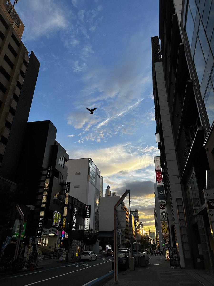 T3 Narrator: Good morning