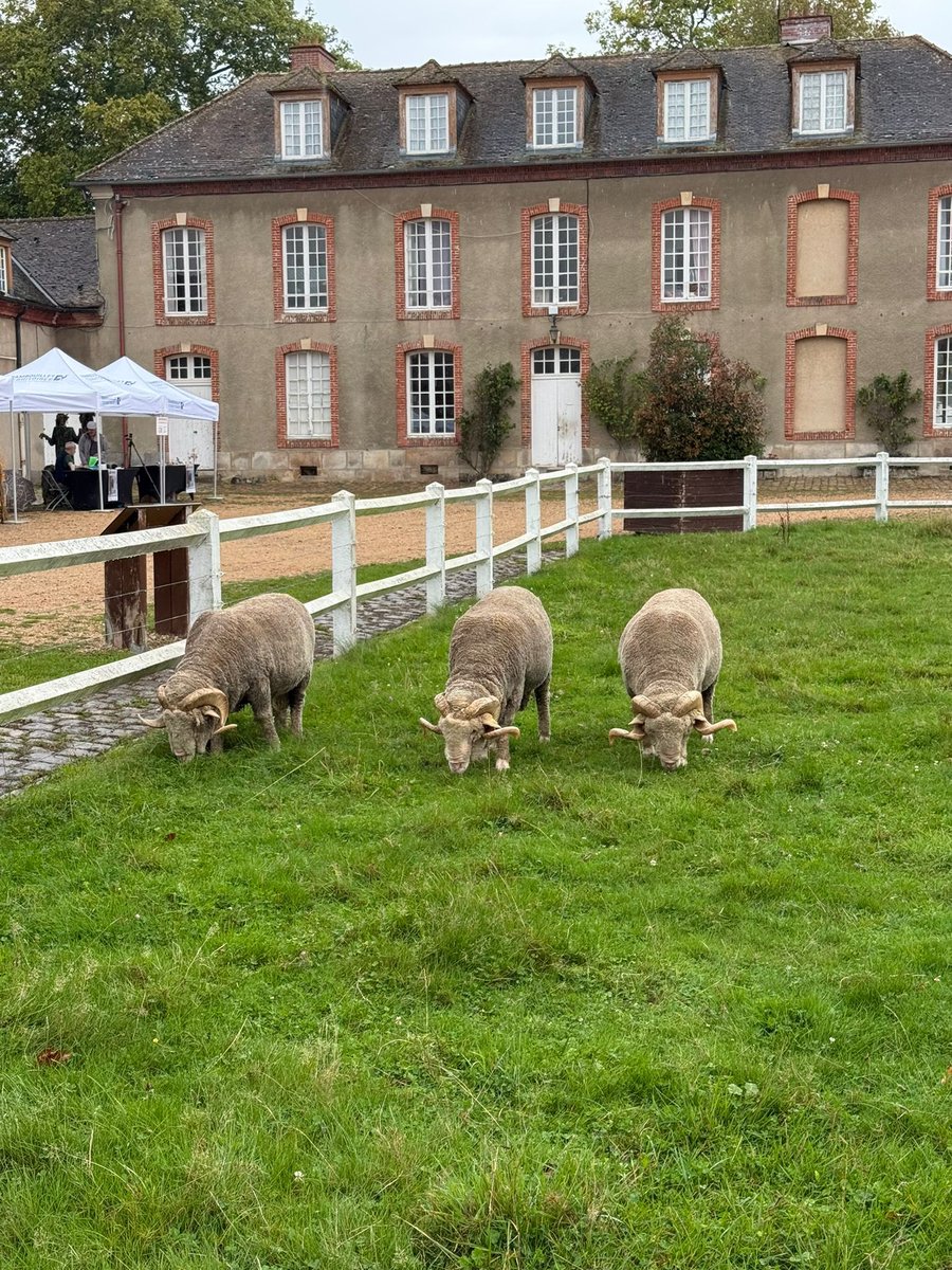 Thomas Gourlan tweet media