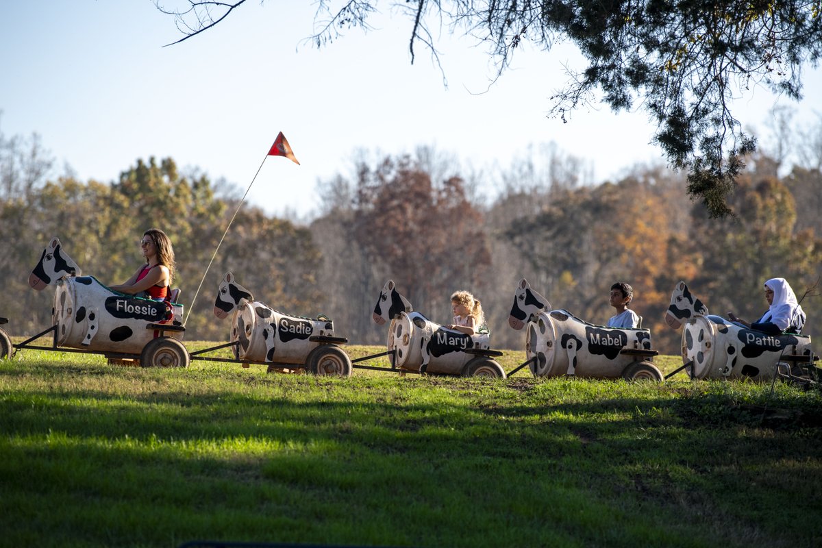 🍂 Our fall season officially starts TODAY! From picking the perfect pumpkin to conquering the corn maze, there’s something for everyone. 🎃🌽 Start your fall traditions with us this weekend!

Get your tickets now at visitpattersonfarm.com/plan-your-visi….

📍 10390 Caldwell Rd, Mount Ulla, NC