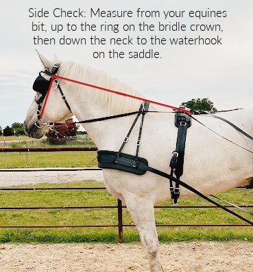 Anton Matveev, MD, RMSK tweet media