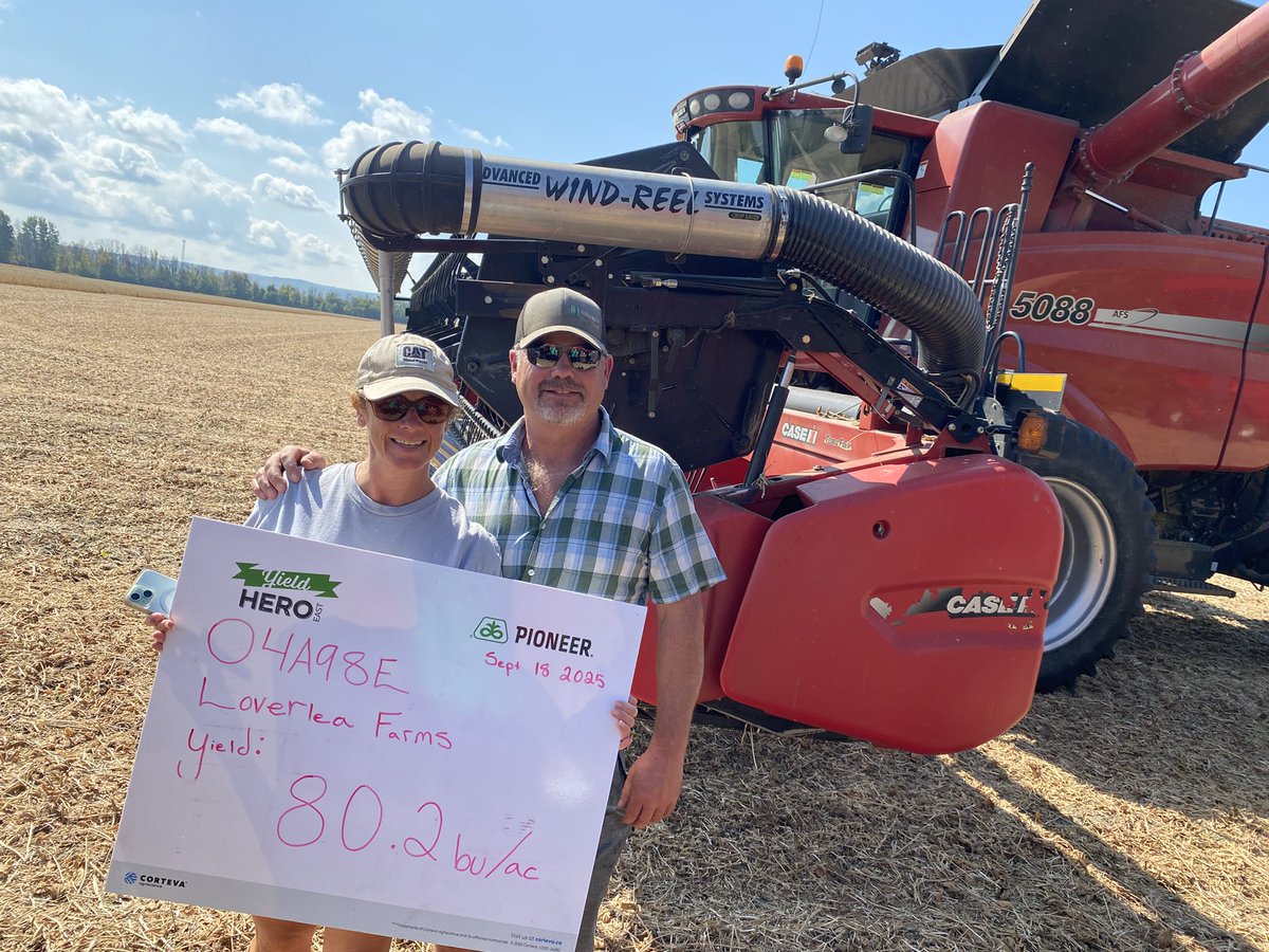 Strong performance with Pioneer 04A98E at Loverlea farms <a href="/Loverleafarm/">Steve Lovering</a>   <a href="/PioneerSeedsCA/">Pioneer Seeds Canada</a> #YieldHeroEast