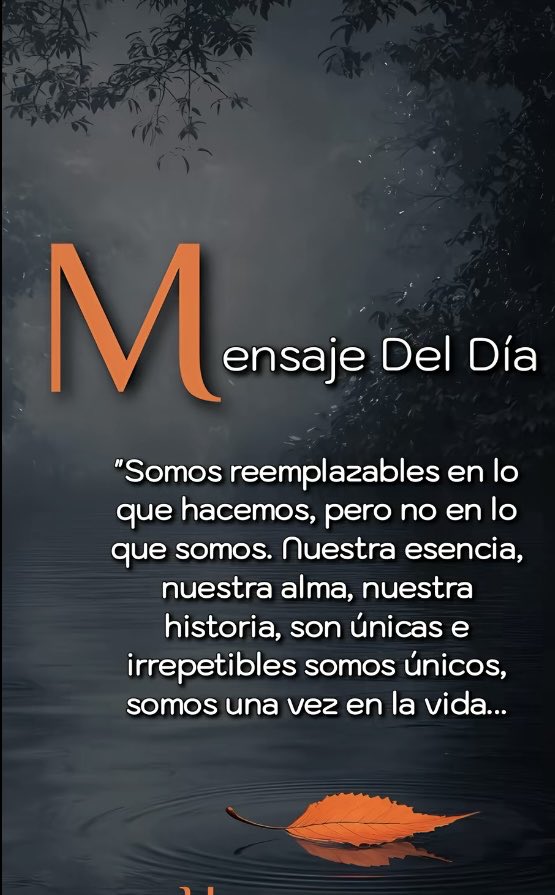 Francis 🖤 tweet media