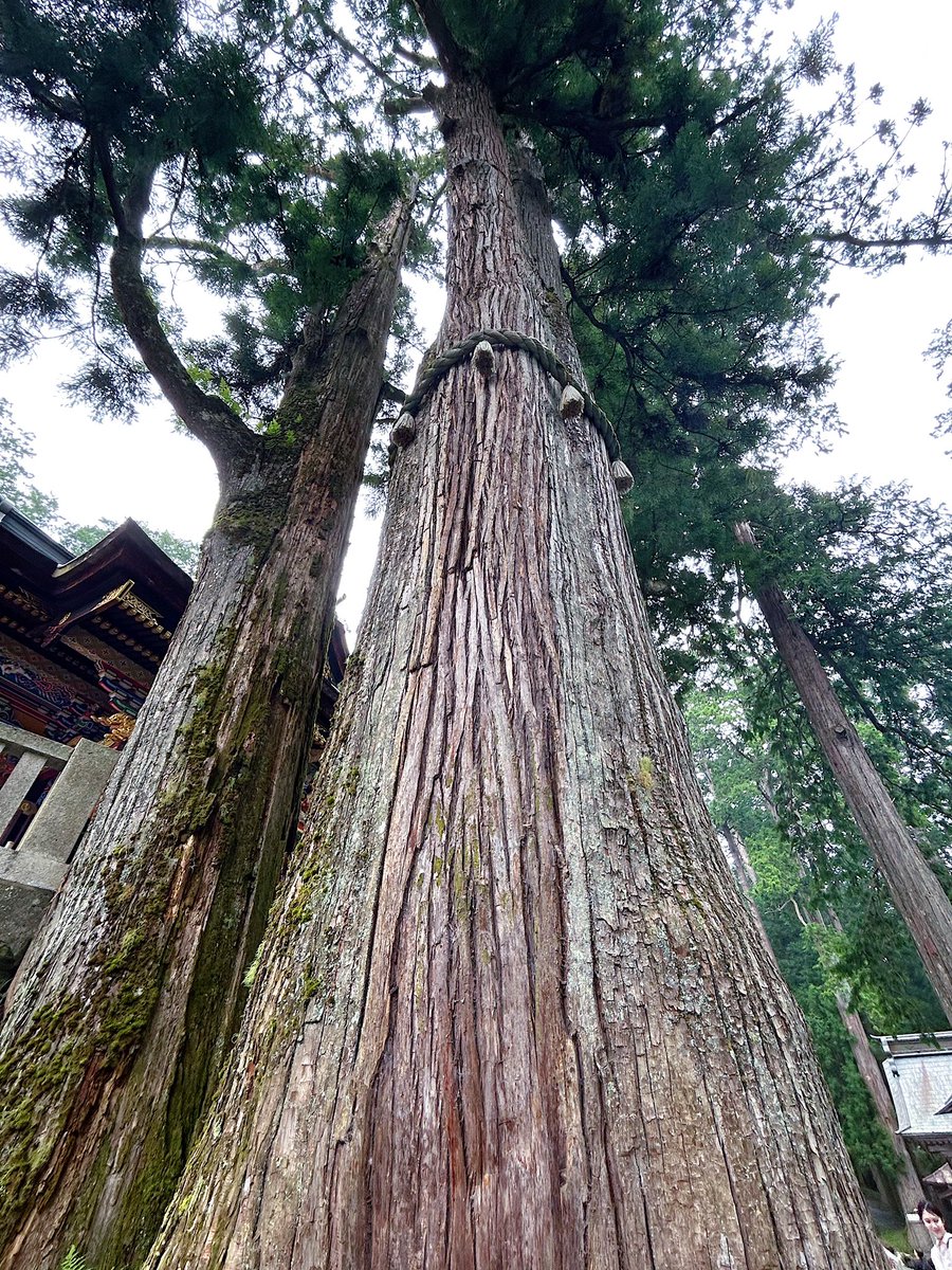 arimnm's tweet photo. 濃霧の三峯神社 https://t.co/mWsfPdJh5X