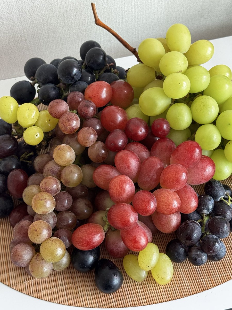 어쩌다가 먹게 된 보석같은 포도 12종🍇💍💖
코코볼, 골드스위트, 슈팅스타, 홍주씨들리스, 샤인머스캣, 썸머크리스피, 젤리팝, 로제타 등등..