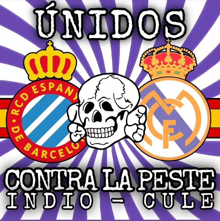 ⚪️🟣🤝🏻🔵⚪️