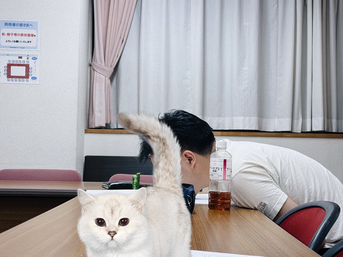 昨日の稽古記録
 #劇団Syrup