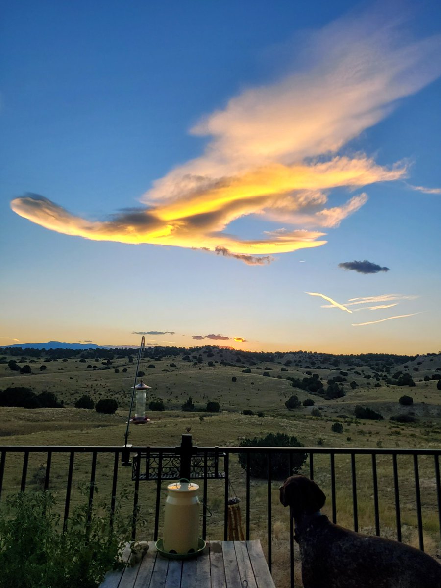 Ogmintypython's tweet image. mornin flash flood warning while we secure the digital dawn.
we see crypto clouds. do you?