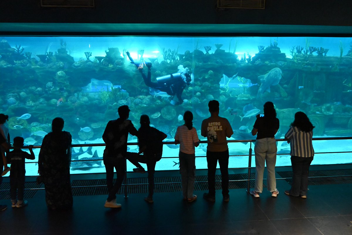 GujScienceCity's tweet photo. A day full of excitement and learning at Science City, Ahmedabad! Visitors explored every attraction and experiencing the perfect blend of fun and knowledge.Truly, Science City is where curiosity meets discovery!
#ScienceCity #ExploreScience #FunWithLearning #Ahmedabad
@PMOIndia @CMOGuj @GovernorofGuj @IndiaDST @DSTGujarat @InfoGujarat @drvrajesh