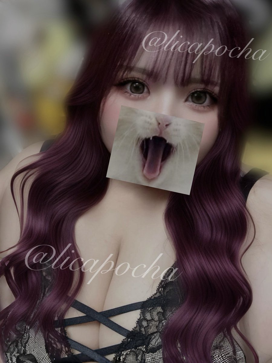 𝑳𝒊𝒄𝒂.⋆𝜗𝜚 tweet media