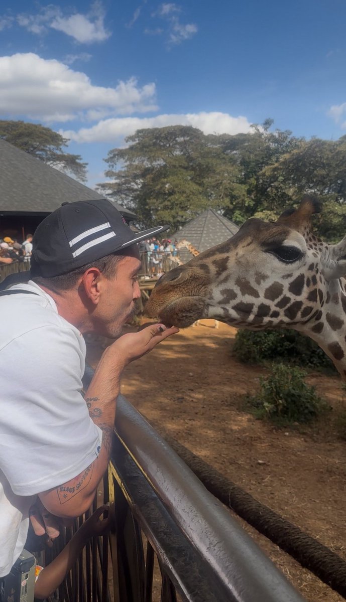 Si no respondo es porque estoy en África.  🐘 🦒