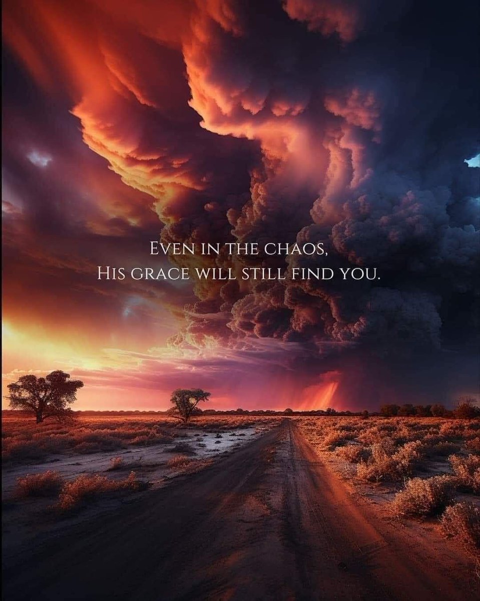 Delora OBrien (@deloragathering) on Twitter photo 