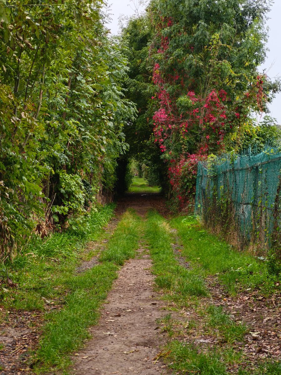 Renaud Roux tweet media