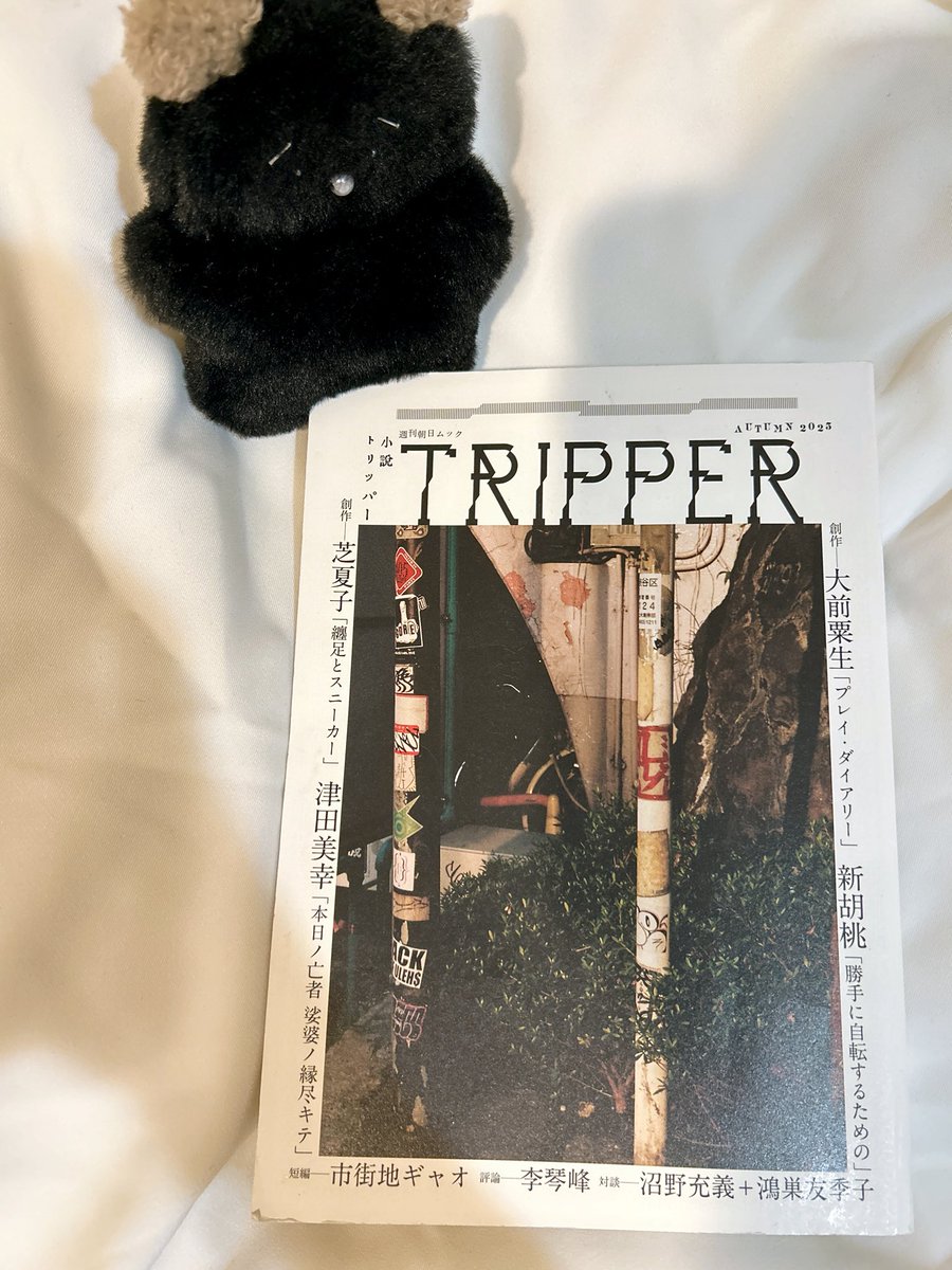 大前粟生さん｢プレイ・ダイアリー｣めちゃくちゃ面白かった。
今自分は小説を読んでいるのか日記を書いているのか菜月ちゃんになろうとしているのかどんどんわからなくなる初めての体験。
私が今後この仕事を続けていくうえで、この作品はお守りというか、錨みたいなものになる気がする。感謝です。