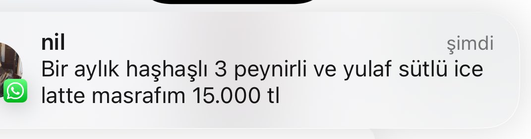 canımı o kadar sıktı ki bu mesaj